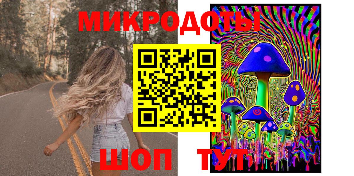 Верхняя Пышма  Псилоцибиновые грибы мухоморы  Вход с VPN 